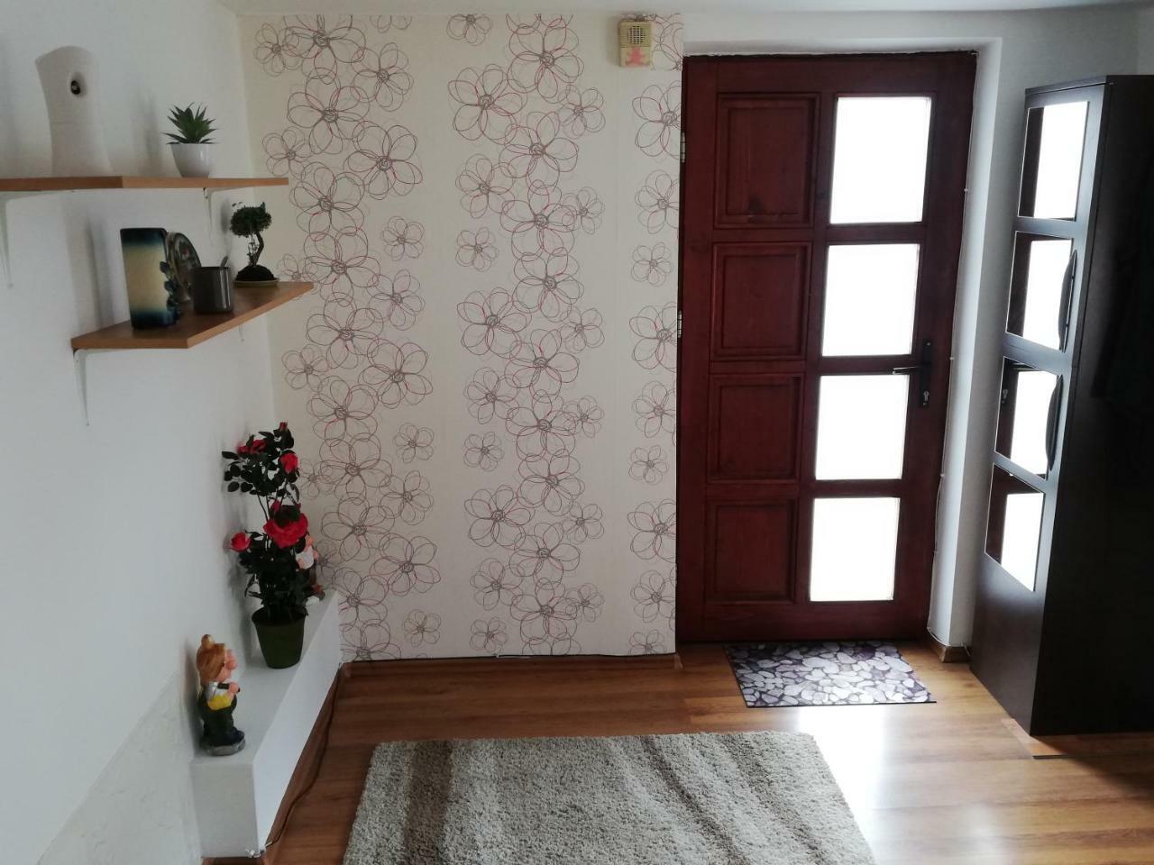 Arina'S Apartments Brasov Exterior photo